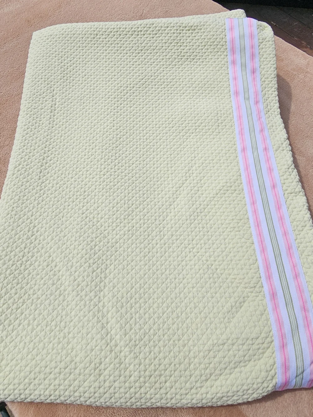 Pottery Barn Kids Pale Green Maltese Twin Duvet Cover With Pink Stripe Trim